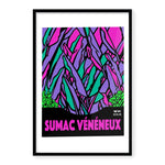 Sumac Vénéneux:Black Purple Mint Green